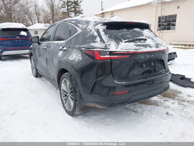 Lexus NX 2026 2T2GKCEZ4TC061830 Image 3