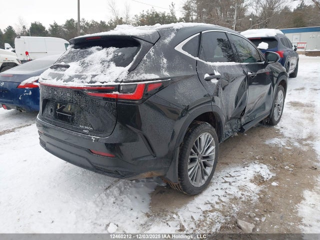 Lexus NX 2026 2T2GKCEZ4TC061830 Image 4
