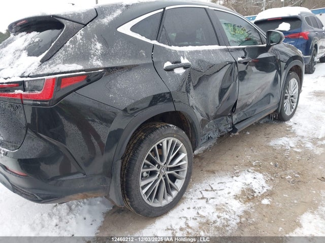 Lexus NX 2026 2T2GKCEZ4TC061830 Image 6