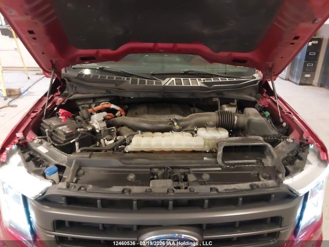 Продажа на аукционе авто 2023 Ford F150 Supercrew, vin: 1FTFW1ED3PFB81984, номер лота: 12460536