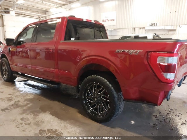 Продажа на аукционе авто 2023 Ford F150 Supercrew, vin: 1FTFW1ED3PFB81984, номер лота: 12460536