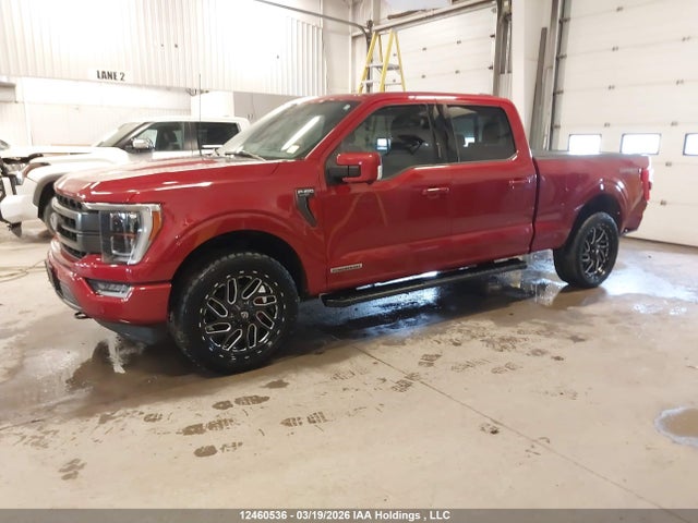 Продажа на аукционе авто 2023 Ford F150 Supercrew, vin: 1FTFW1ED3PFB81984, номер лота: 12460536