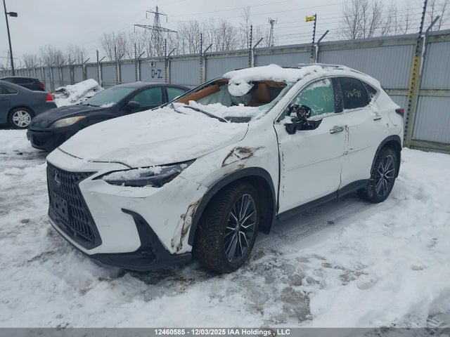 Lexus Nx 350h 350h 2022 2T2GKCEZ7NC004864 Image 2