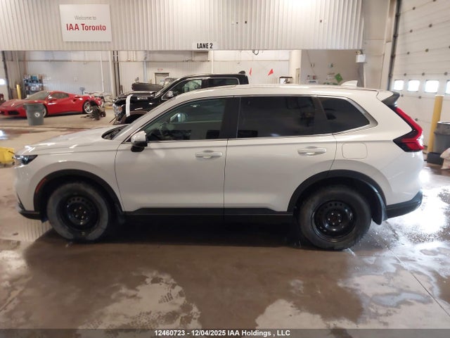 2HKRS4H74RH110124 Honda CR-V EXL