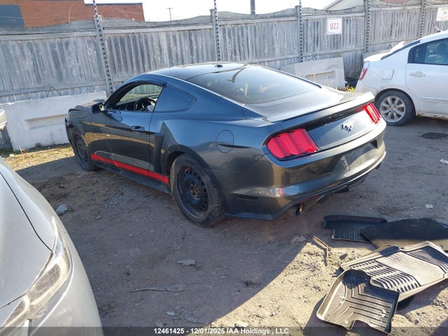 1FA6P8TH6H5215991 Ford Mustang