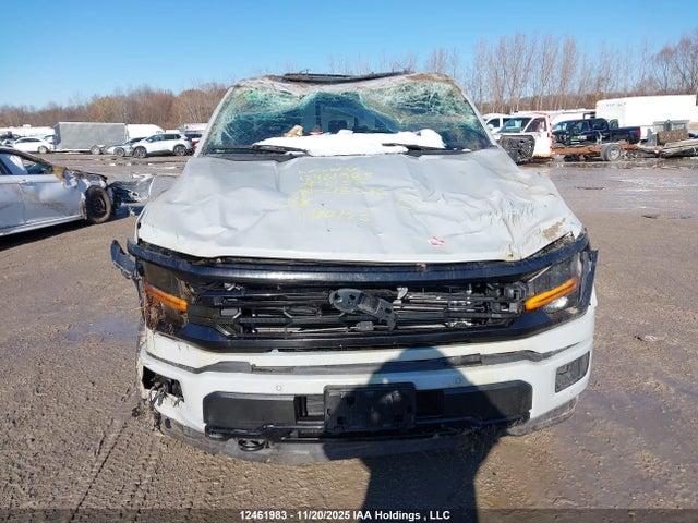 Aukcja sprzedaży 2024 Ford F150 Xlt, vin: 1FTFW3LD3RFC18596, numer aukcji: 12461983