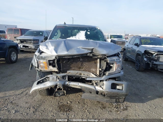 12462325 :رقم المزاد ، 1FTFW1E58LKD93094 vin ، 2020 Ford F150 Supercrew مزاد بيع