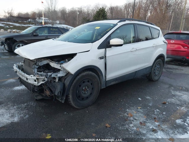 1FMCU0GDXHUB10225 Ford ESCAPE SE