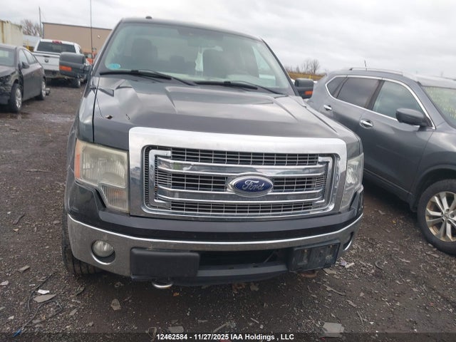 12462584 :رقم المزاد ، 1FTFX1ETXDFC91169 vin ، 2013 Ford F-150 Xlt مزاد بيع