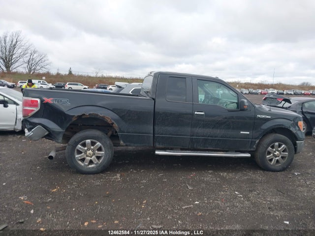 12462584 :رقم المزاد ، 1FTFX1ETXDFC91169 vin ، 2013 Ford F-150 Xlt مزاد بيع