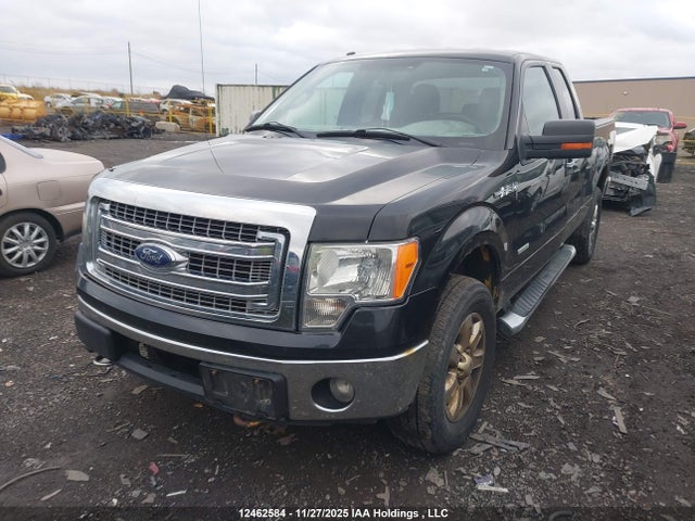 12462584 :رقم المزاد ، 1FTFX1ETXDFC91169 vin ، 2013 Ford F-150 Xlt مزاد بيع