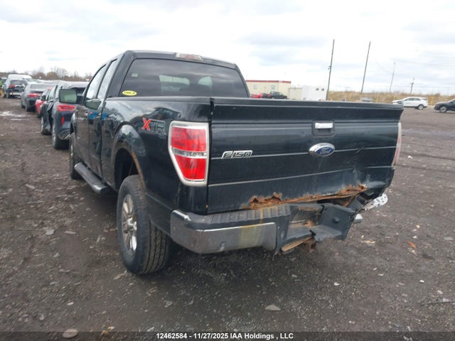 12462584 :رقم المزاد ، 1FTFX1ETXDFC91169 vin ، 2013 Ford F-150 Xlt مزاد بيع