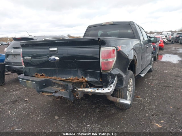 12462584 :رقم المزاد ، 1FTFX1ETXDFC91169 vin ، 2013 Ford F-150 Xlt مزاد بيع