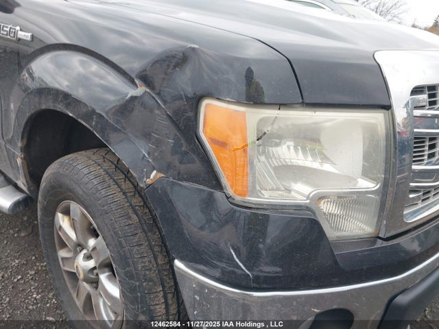12462584 :رقم المزاد ، 1FTFX1ETXDFC91169 vin ، 2013 Ford F-150 Xlt مزاد بيع