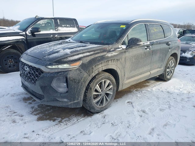 Продаж на аукціоні авто 2019 Hyundai Santa Fe Sel/sel Plus, vin: 5NMS3CAA2KH048272, номер лоту: 12462729