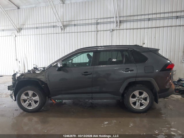 Aukcja sprzedaży 2020 Toyota Rav4 Xle, vin: 2T3R1RFV2LW106736, numer aukcji: 12462879