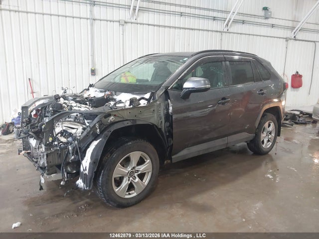 Aukcja sprzedaży 2020 Toyota Rav4 Xle, vin: 2T3R1RFV2LW106736, numer aukcji: 12462879