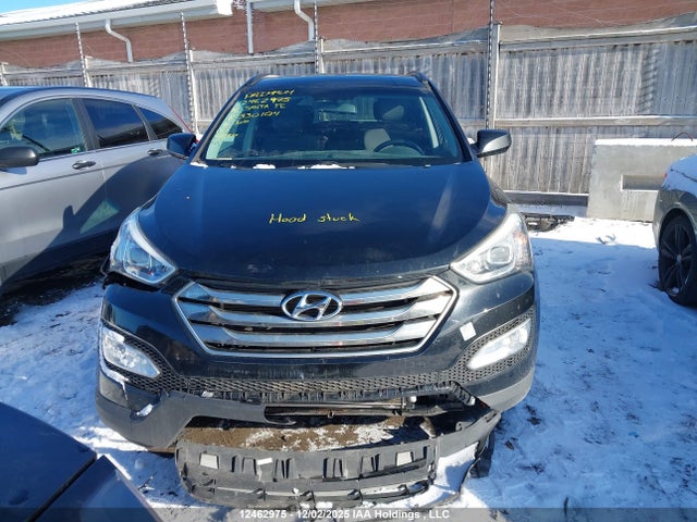 5XYZU3LB7GG330104 Hyundai Santa Fe Sport 2.4 Premium