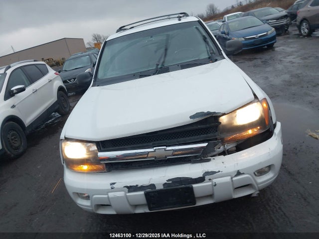 2006 Chevrolet Trailblazer Lt მანქანა იყიდება აუქციონზე, vin: 1GNET13M662121914, აუქციონის ნომერი: 12463100