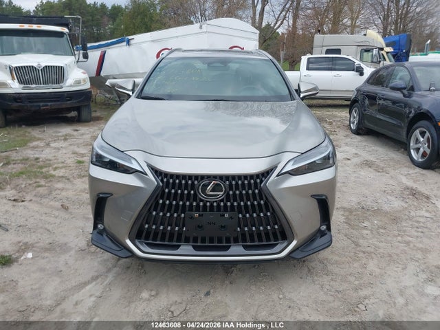 2024 Lexus Nx 350 მანქანა იყიდება აუქციონზე, vin: 2T2GGCEZ8RC057838, აუქციონის ნომერი: 12463608
