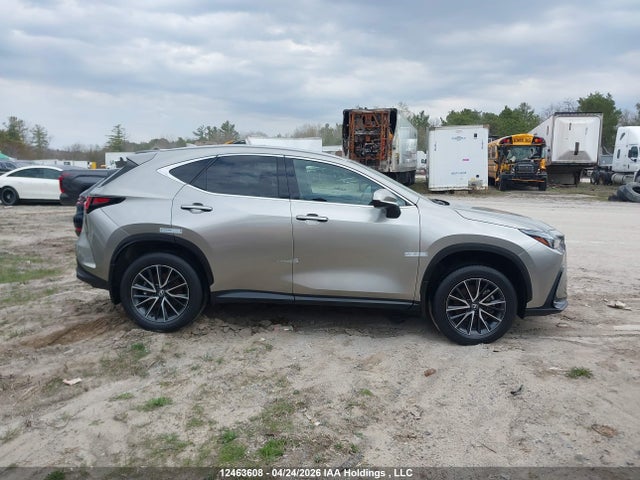 2024 Lexus Nx 350 მანქანა იყიდება აუქციონზე, vin: 2T2GGCEZ8RC057838, აუქციონის ნომერი: 12463608
