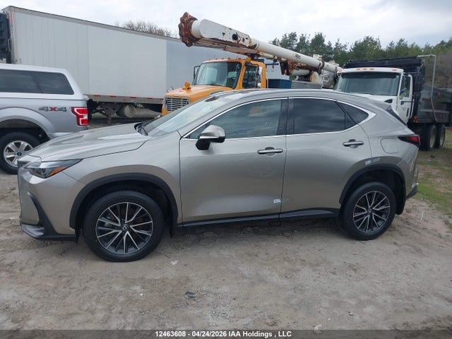 2024 Lexus Nx 350 მანქანა იყიდება აუქციონზე, vin: 2T2GGCEZ8RC057838, აუქციონის ნომერი: 12463608