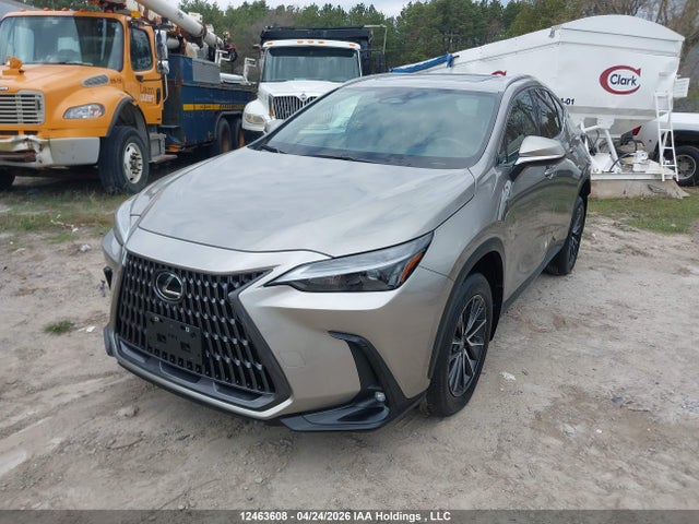 2024 Lexus Nx 350 მანქანა იყიდება აუქციონზე, vin: 2T2GGCEZ8RC057838, აუქციონის ნომერი: 12463608