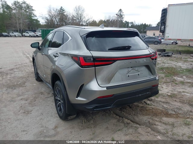 2024 Lexus Nx 350 მანქანა იყიდება აუქციონზე, vin: 2T2GGCEZ8RC057838, აუქციონის ნომერი: 12463608