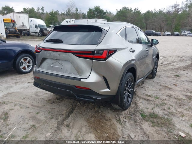 2024 Lexus Nx 350 მანქანა იყიდება აუქციონზე, vin: 2T2GGCEZ8RC057838, აუქციონის ნომერი: 12463608