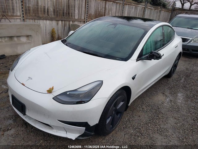 12463656 :رقم المزاد ، LRW3E1EB5PC942937 vin ، 2023 Tesla Model 3 مزاد بيع
