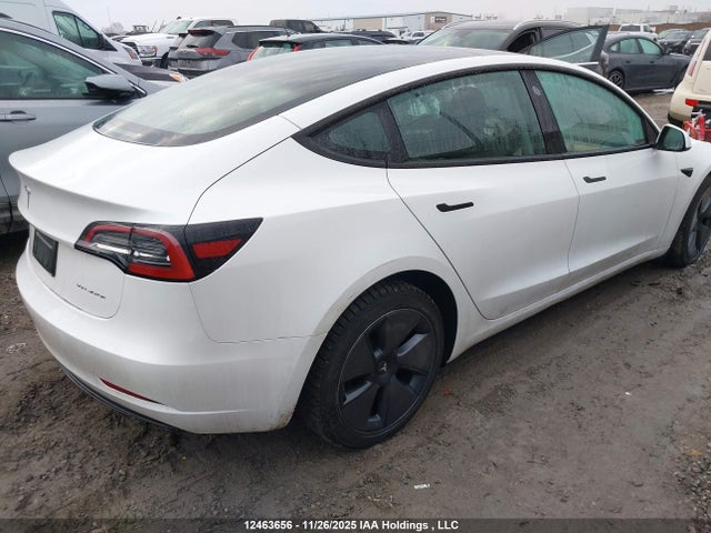 12463656 :رقم المزاد ، LRW3E1EB5PC942937 vin ، 2023 Tesla Model 3 مزاد بيع