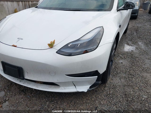 12463656 :رقم المزاد ، LRW3E1EB5PC942937 vin ، 2023 Tesla Model 3 مزاد بيع