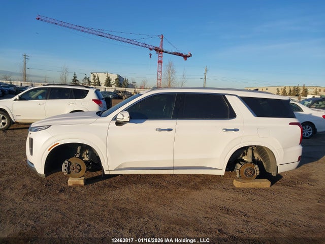 KM8R5DHE6MU242348 Hyundai Palisade Ultimate Calligraphy