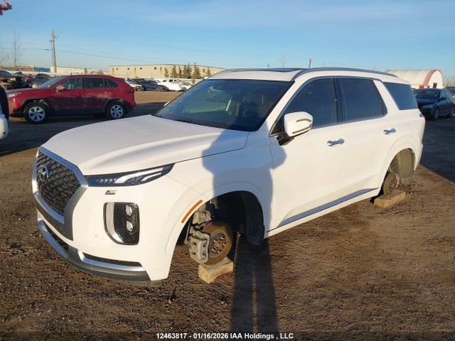 KM8R5DHE6MU242348 Hyundai Palisade Ultimate Calligraphy