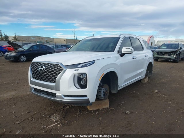 KM8R5DHE6MU242348 Hyundai Palisade Ultimate Calligraphy