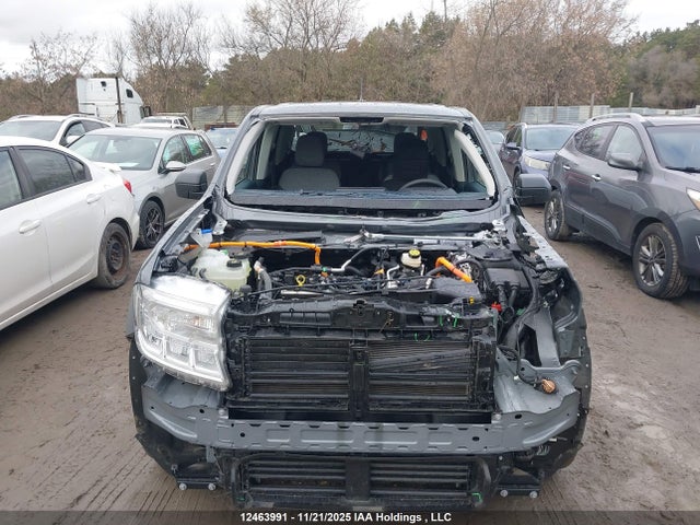12463991 :رقم المزاد ، 3FTTW8H36RRB60938 vin ، 2024 Ford Maverick Xlt مزاد بيع