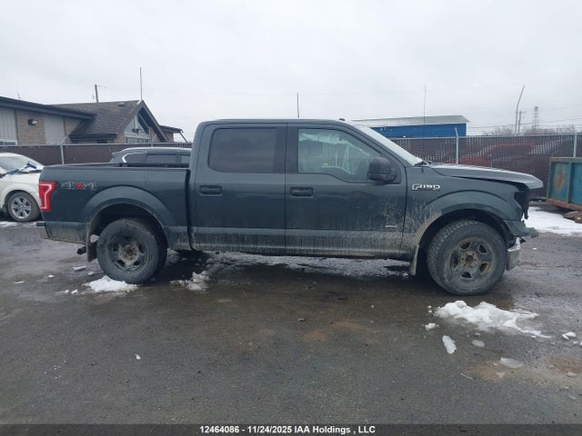 12464086 :رقم المزاد ، 1FTEW1EPXFFB36335 vin ، 2015 Ford F-150 مزاد بيع
