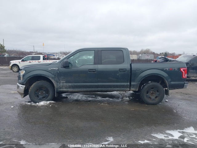 12464086 :رقم المزاد ، 1FTEW1EPXFFB36335 vin ، 2015 Ford F-150 مزاد بيع