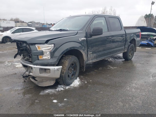 12464086 :رقم المزاد ، 1FTEW1EPXFFB36335 vin ، 2015 Ford F-150 مزاد بيع