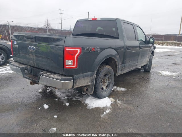 12464086 :رقم المزاد ، 1FTEW1EPXFFB36335 vin ، 2015 Ford F-150 مزاد بيع