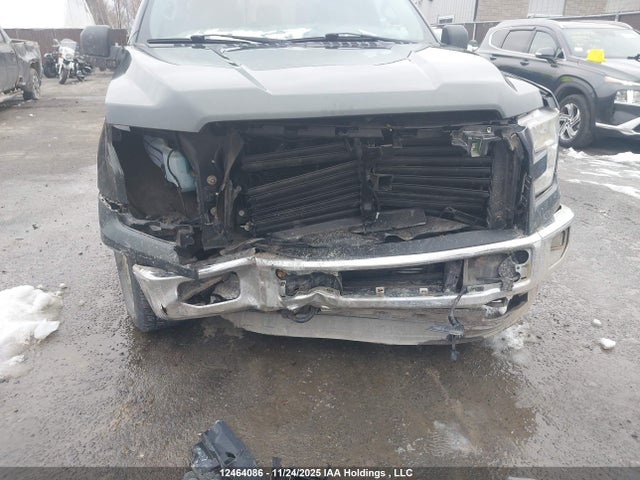 12464086 :رقم المزاد ، 1FTEW1EPXFFB36335 vin ، 2015 Ford F-150 مزاد بيع