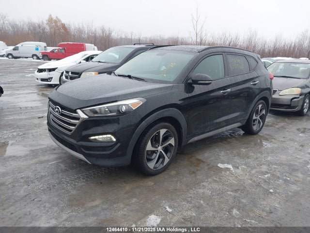 Продаж на аукціоні авто 2017 Hyundai Tucson, vin: KM8J3CA26HU339407, номер лоту: 12464410