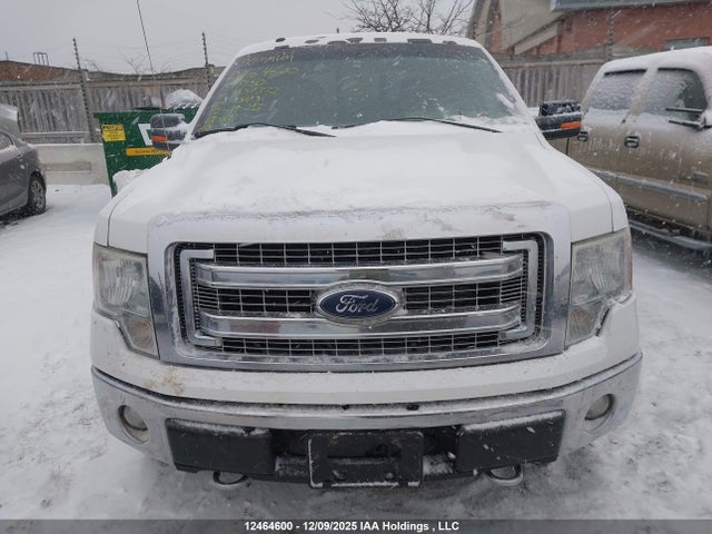 Aukcja sprzedaży 2014 Ford F-150 Xlt, vin: 1FTFW1EF3EFB34372, numer aukcji: 12464600