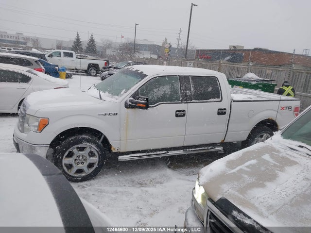 Aukcja sprzedaży 2014 Ford F-150 Xlt, vin: 1FTFW1EF3EFB34372, numer aukcji: 12464600
