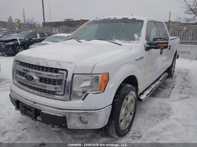 Aukcja sprzedaży 2014 Ford F-150 Xlt, vin: 1FTFW1EF3EFB34372, numer aukcji: 12464600