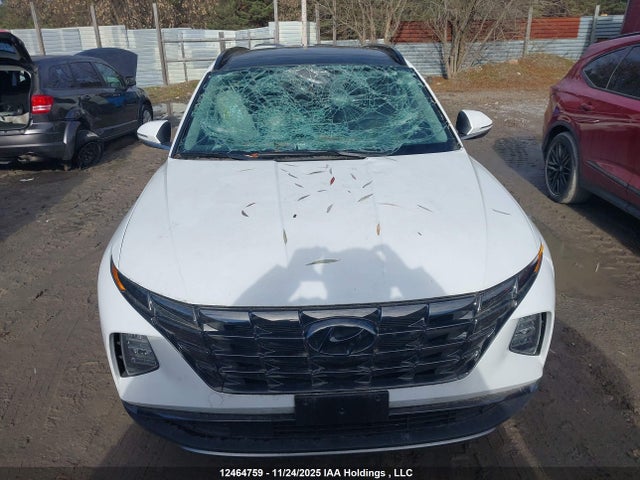 Продаж на аукціоні авто 2024 Hyundai Tucson Sel, vin: KM8JCCDE8RU322230, номер лоту: 12464759