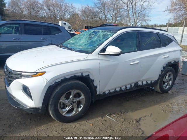Продаж на аукціоні авто 2024 Hyundai Tucson Sel, vin: KM8JCCDE8RU322230, номер лоту: 12464759