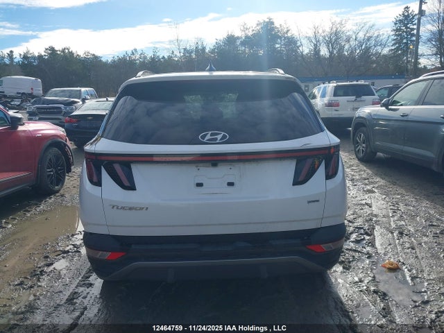 Продаж на аукціоні авто 2024 Hyundai Tucson Sel, vin: KM8JCCDE8RU322230, номер лоту: 12464759
