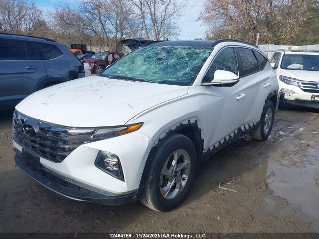 Продаж на аукціоні авто 2024 Hyundai Tucson Sel, vin: KM8JCCDE8RU322230, номер лоту: 12464759