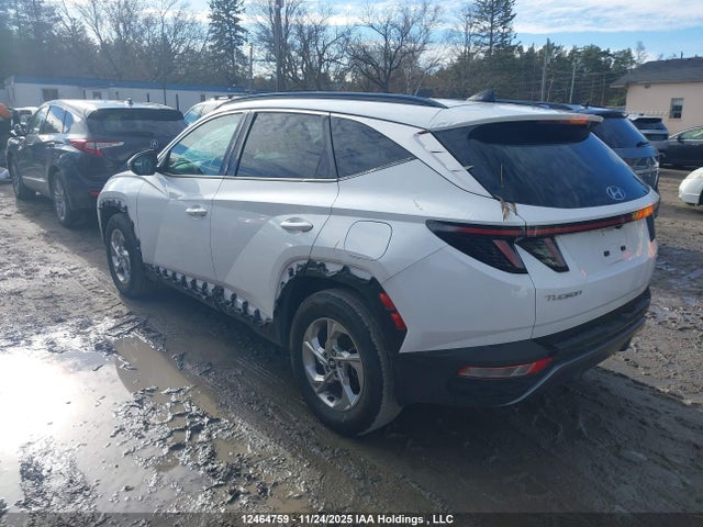 Продаж на аукціоні авто 2024 Hyundai Tucson Sel, vin: KM8JCCDE8RU322230, номер лоту: 12464759